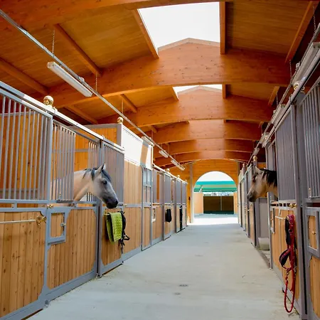 Il Colle Del Falco Séjour à la ferme